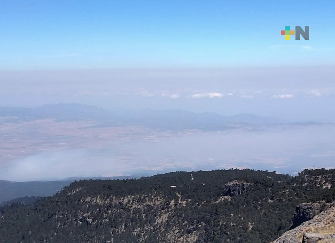 Quemas agrícolas, principales causantes de incendios forestales en la entidad